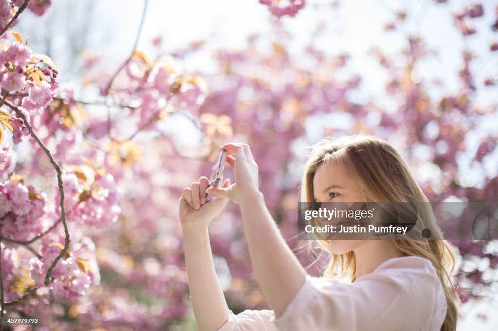 Frau Fotografieren rosa Blüten am Baum