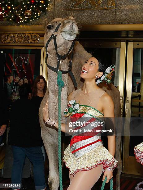 Radio City Rockette poses during 2014 Radio City Christmas Spectacular's Living Nativity as Animals Arrive For Rehearsals at Radio City Music Hall on...