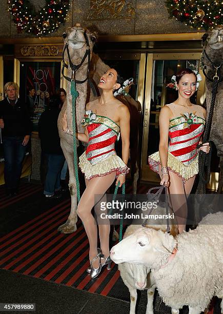 Radio City Rockettes pose during 2014 Radio City Christmas Spectacular's Living Nativity as Animals Arrive For Rehearsals at Radio City Music Hall on...