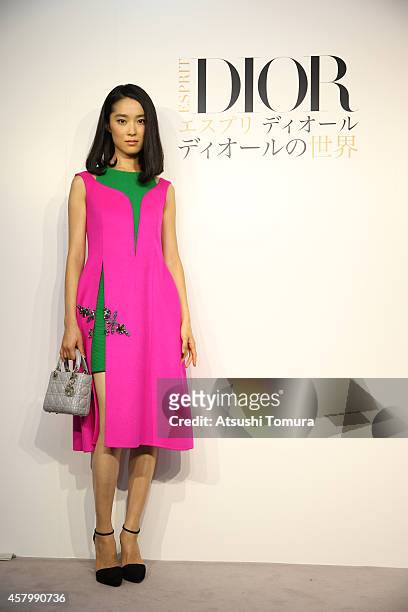 Actress Eriko Hatsune arrives at the "Esprit Dior" Opening Reception on October 28, 2014 in Tokyo, Japan.
