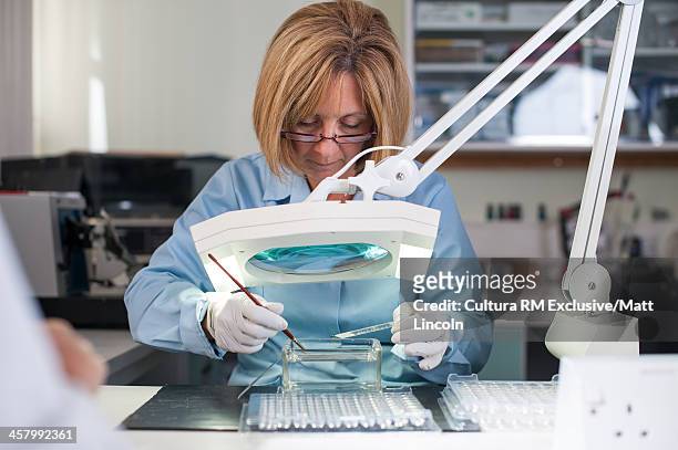 lab technician using magnifying glass with medical samples - biochemist stock pictures, royalty-free photos & images