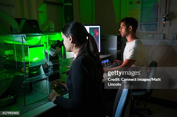 two medical students in laboratory, woman using microscope - biochemist stock pictures, royalty-free photos & images