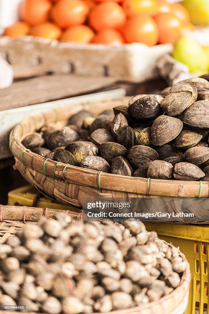 Clams, Central Market, Phnom Penh, Cambodia