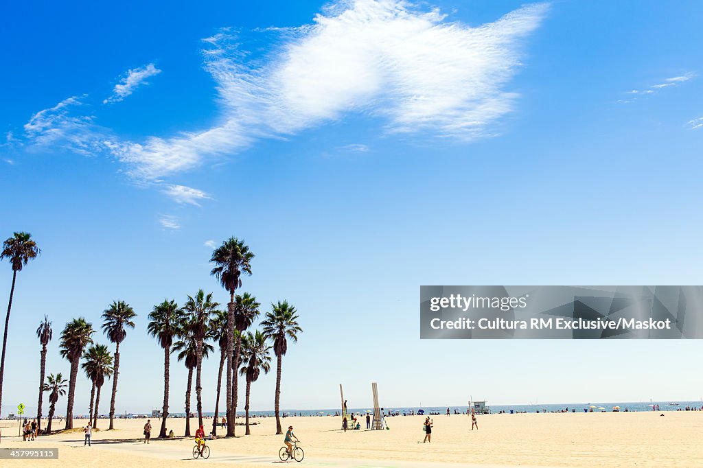 Cyclists at Santa Monica, California, USA