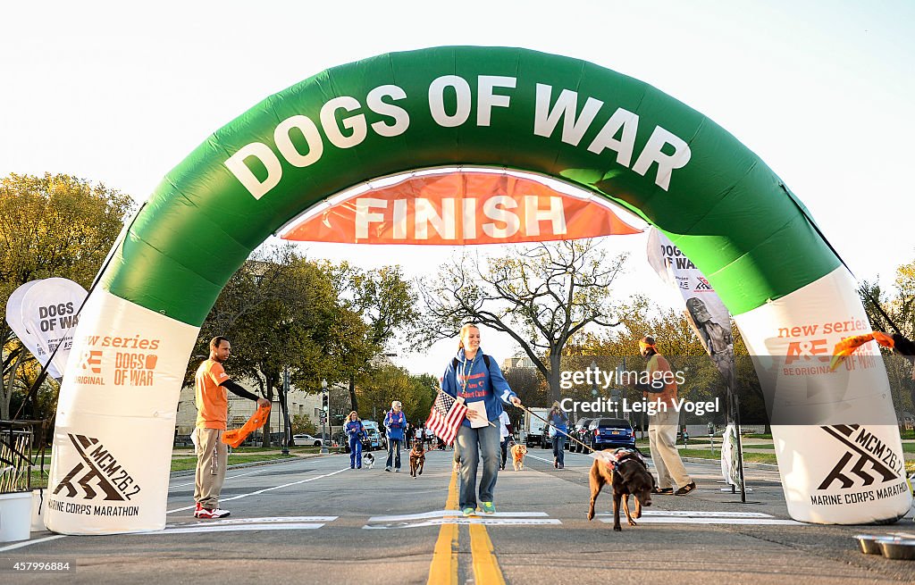 A&E's "Dogs Of War" 2K-9 Race