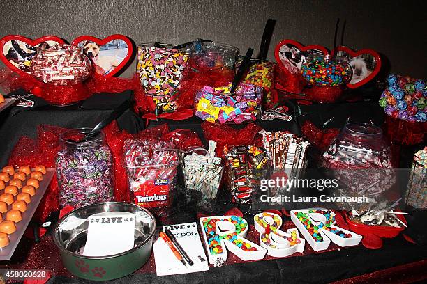 Atmosphere at the 2nd Annual Black, White, & Red Gala To Benefit Rock & Rawhide at iHeartRadio Theater on October 28, 2014 in New York City.