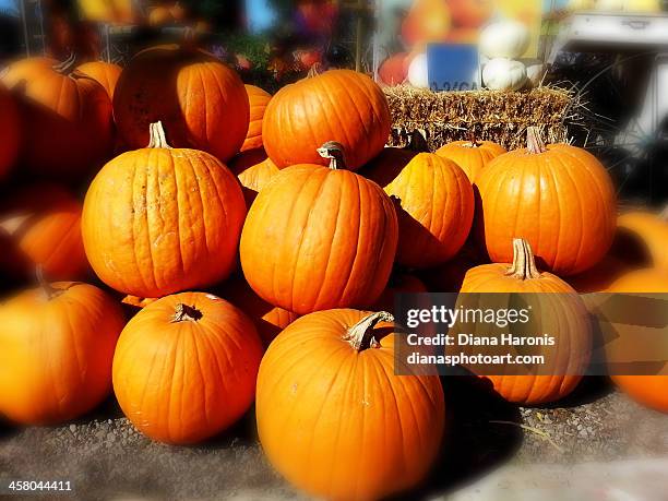 pumpkins for sale - huntington beach market stock-fotos und bilder