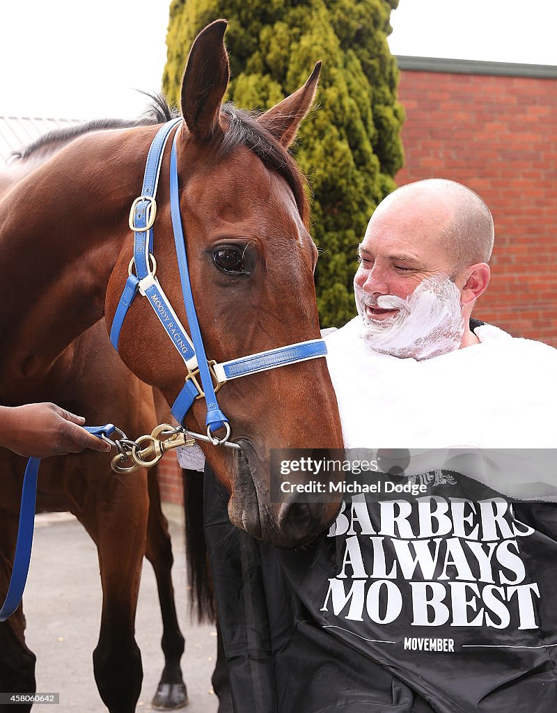 Peter Moody Stables Visit