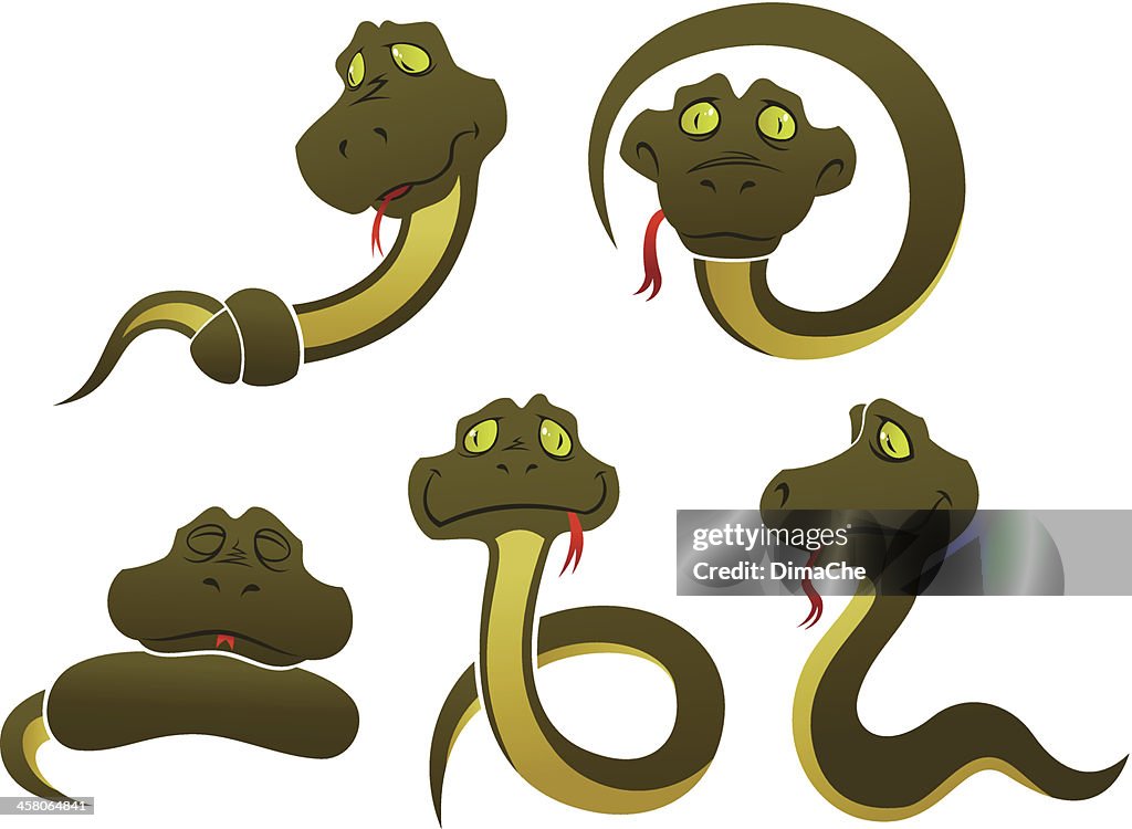 Funny Snakes High-Res Vector Graphic - Getty Images
