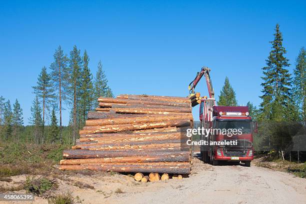 truck uploading tree trunks - tree trunk stock pictures, royalty-free photos & images