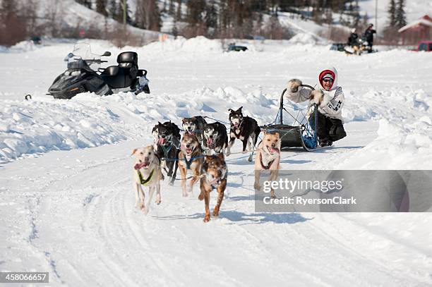 dogsled racing - northwest territories stock pictures, royalty-free photos & images