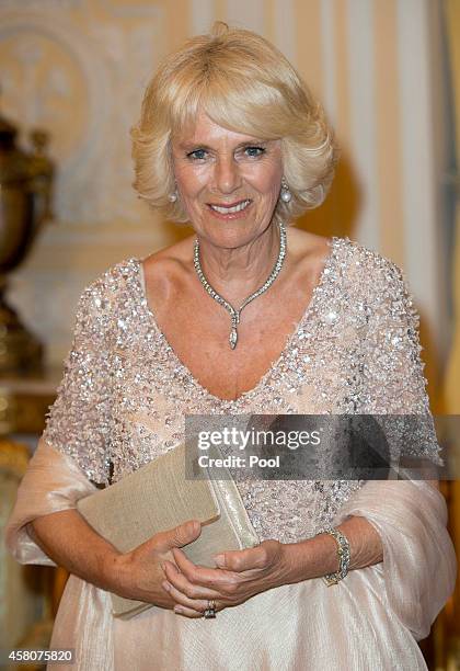 Camilla, Duchess of Cornwall attends a State Dinner at the Presidential Palace on October 29, 2014 in Bogota, Colombia. The Royal Couple are on a...