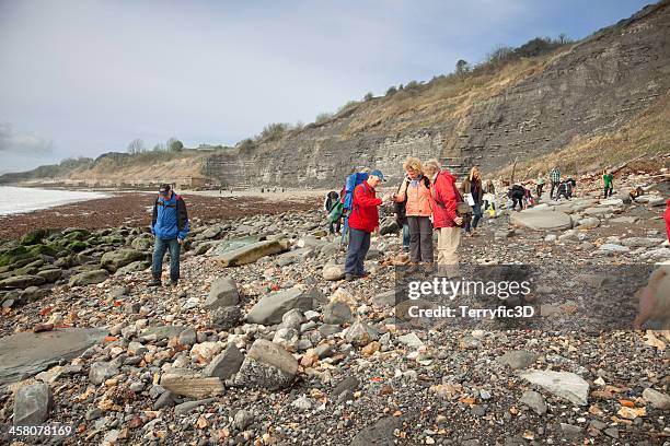 fossil collectors at lyme regis, uk - jurassic coast world heritage site stock pictures, royalty-free photos & images