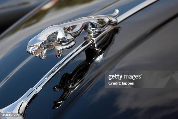 jaguar - jaguar car stock pictures, royalty-free photos & images