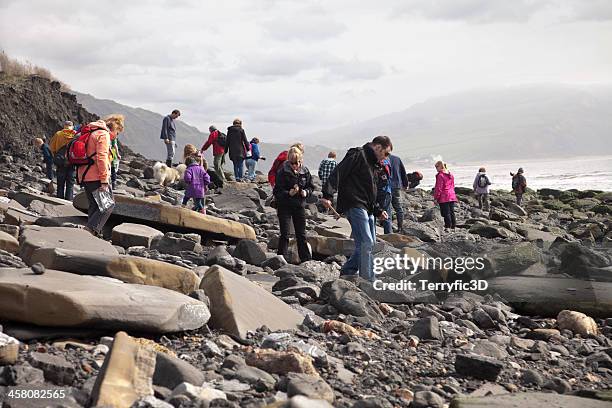 fossil collectors at lyme regis, uk - lyme regis fossil stock pictures, royalty-free photos & images