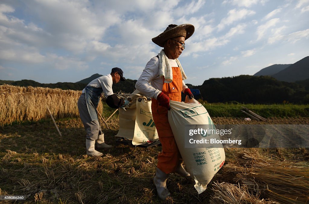 General Images Of Regional Economy Ahead Of Bank Of Japan's Monetary Policy Meeting