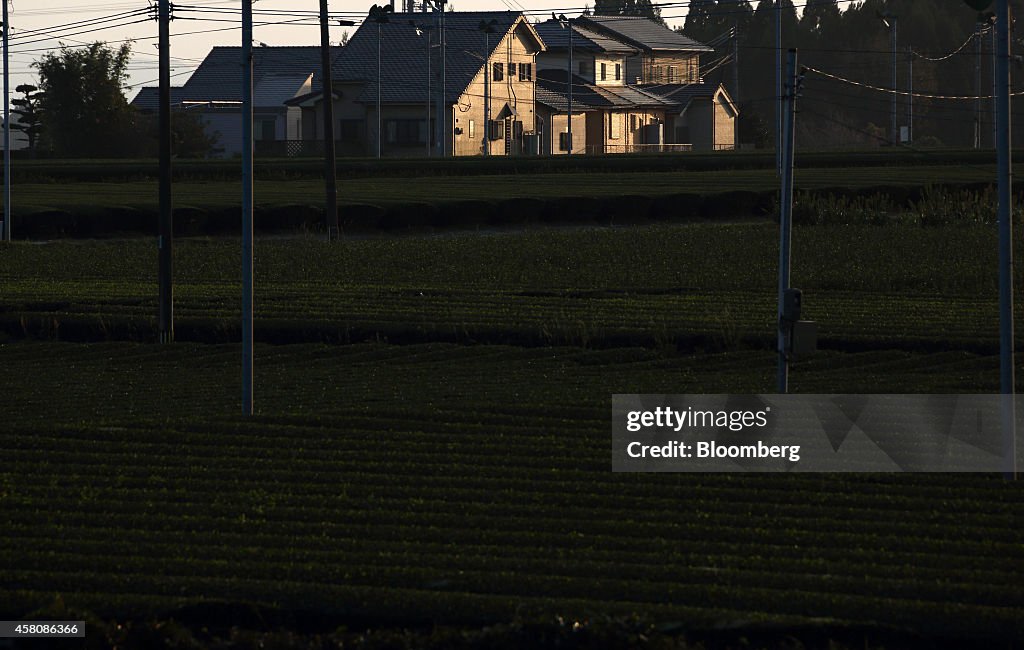 General Images Of Regional Economy Ahead Of Bank Of Japan's Monetary Policy Meeting