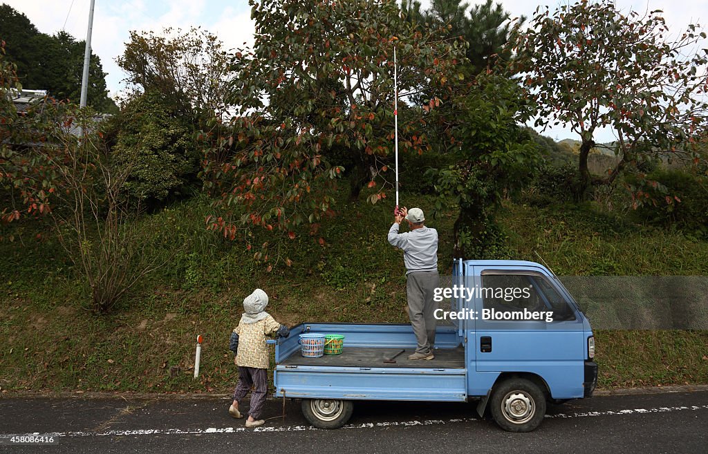 General Images Of Regional Economy Ahead Of Bank Of Japan's Monetary Policy Meeting