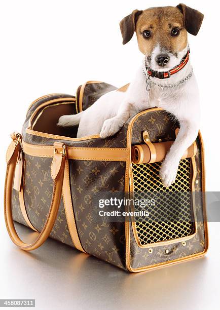 louis vuitton transportadora de animais de estimação com cachorro - louis vuitton purse - fotografias e filmes do acervo