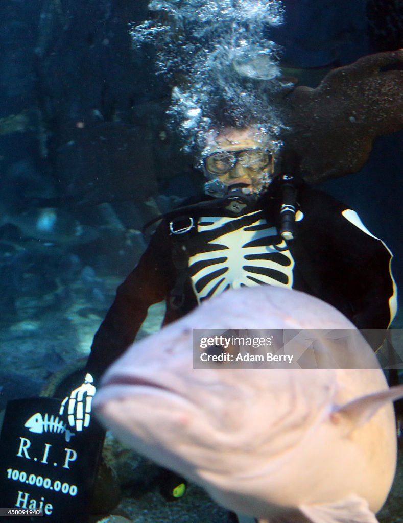 Berlin Sea Life Celebrates Halloween