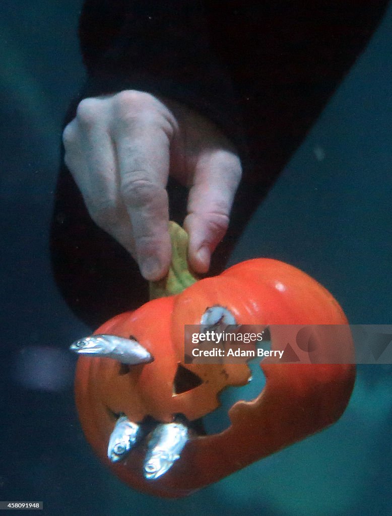 Berlin Sea Life Celebrates Halloween