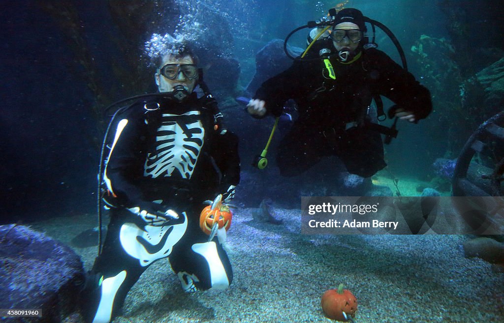 Berlin Sea Life Celebrates Halloween
