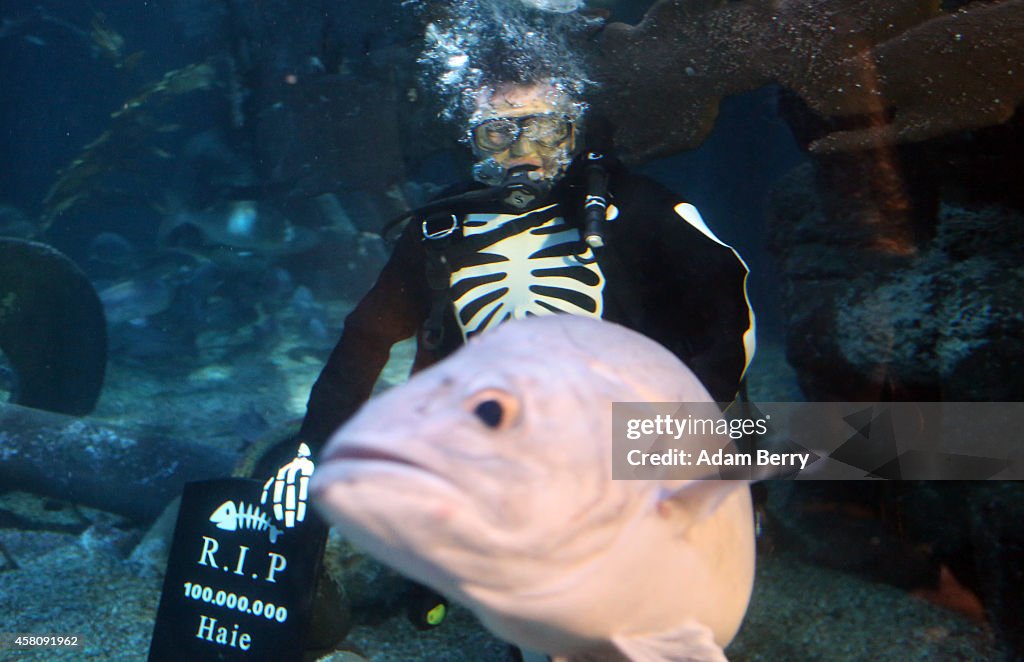 Berlin Sea Life Celebrates Halloween