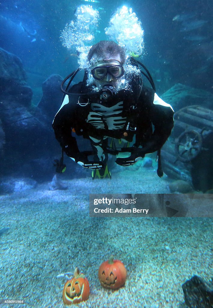 Berlin Sea Life Celebrates Halloween