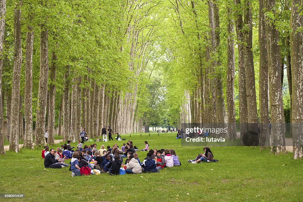 お子様がグループの昼食には、自然