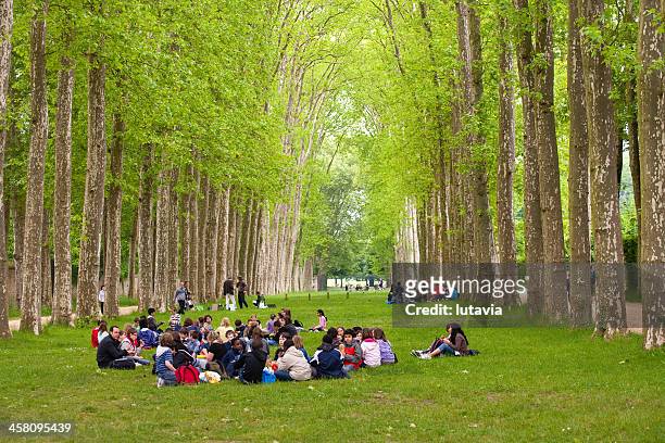 groups of children having lunch on the nature - yvelines stock pictures, royalty-free photos & images
