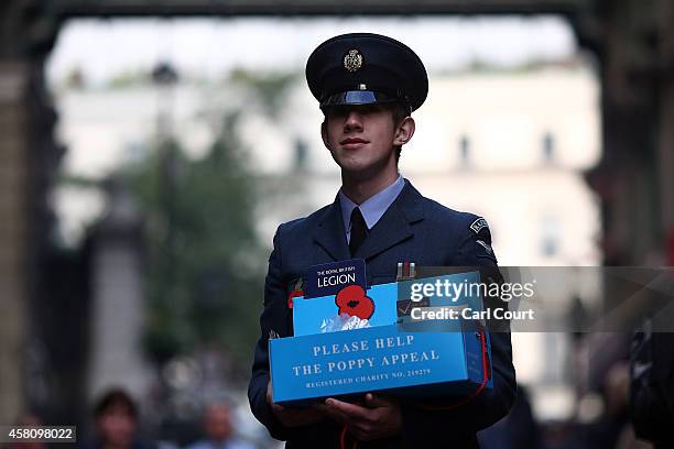 Royal Air Force poppy appeal volunteer waits for donations on October 30, 2014 in London, England. Volunteers throughout the UK are aiming to raise...