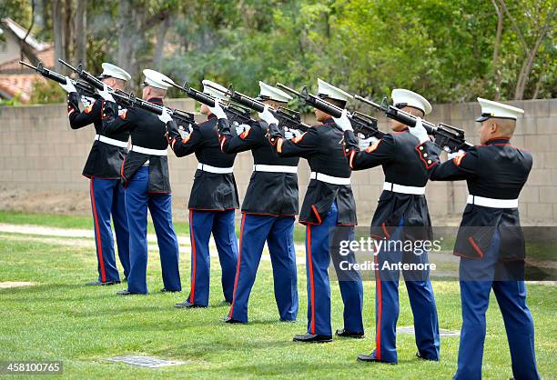 military funeral gun salute - military funeral stock pictures, royalty-free photos & images