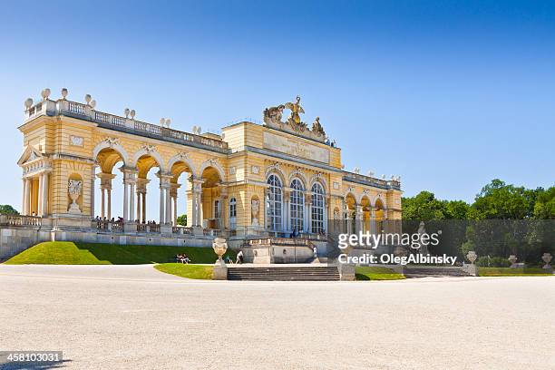 gardens of schonbrunn palace, vienna. - schonbrunn palace vienna stock pictures, royalty-free photos & images