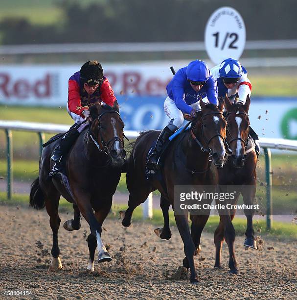 Shane Kelly rides Prince's Trust to win The Ladbrokes Handicap Stakes at Lingfield racecourse on October 30, 2014 in Lingfield, England.