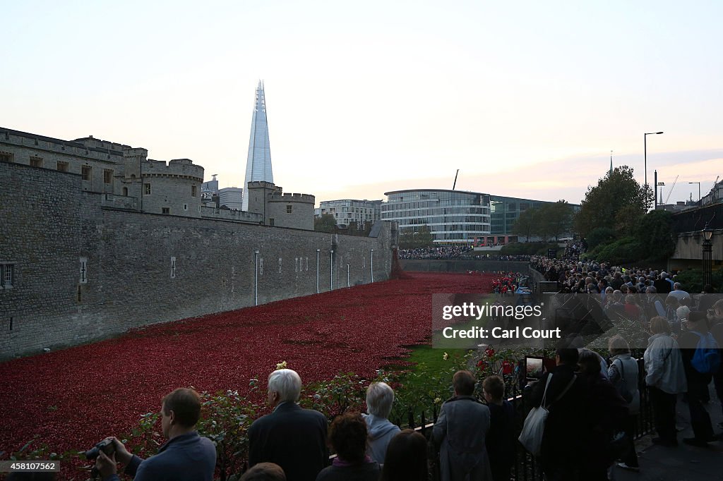Four Million People Are Expected To Visit The Poppies At The Tower of London
