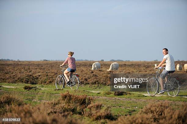 young couple cycling in nature - gelderland bildbanksfoton och bilder