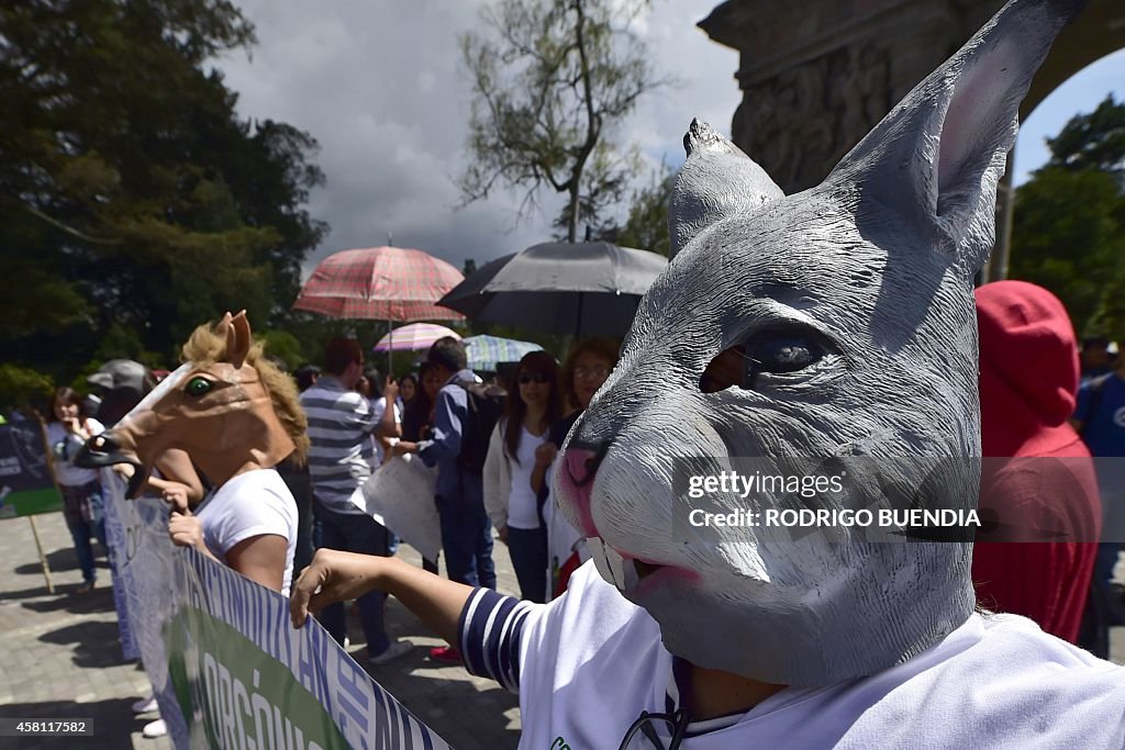 ECUADOR-ANIMAL-RIGHTS
