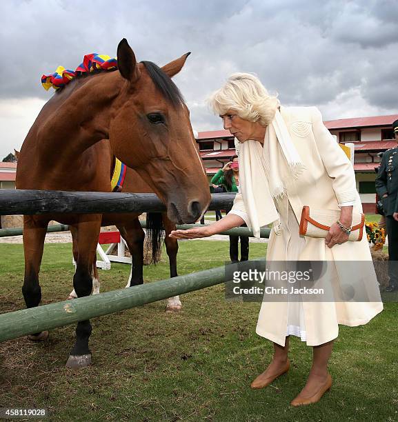 Camilla, Duchess of Cornwall meets horses as she visits Escuela de Cabelleria del Ejercito on October 30, 2014 in Bogota, Colombia. The Royal Couple...
