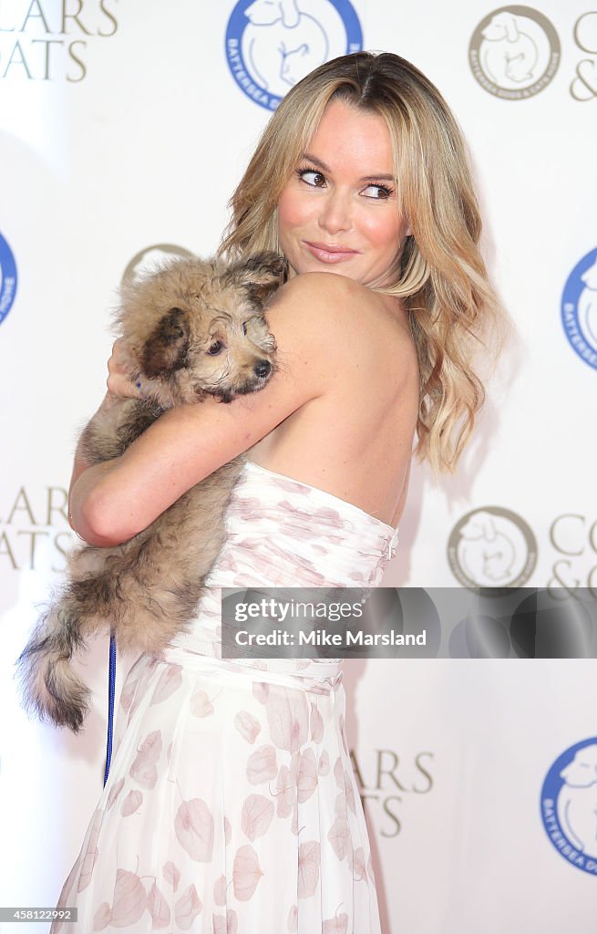 Collars & Coats Gala Ball - Red Carpet Arrivals