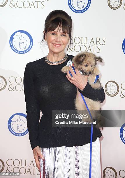 Arlene Phillips attends the annual Collars & Coats Gala Ball in aid of The Battersea Dogs & Cats home at Battersea Evolution on October 30, 2014 in...