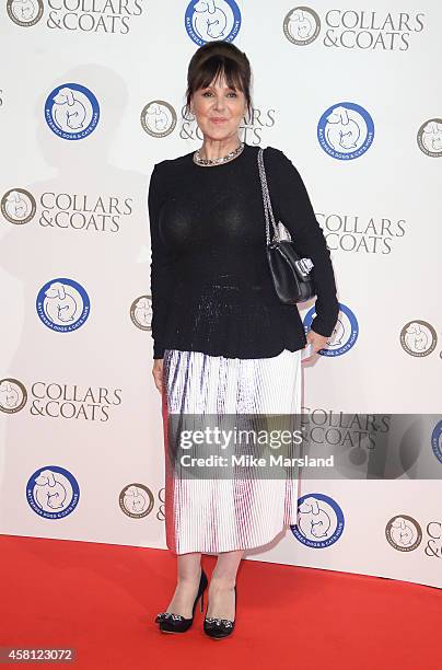 Arlene Phillips attends the annual Collars & Coats Gala Ball in aid of The Battersea Dogs & Cats home at Battersea Evolution on October 30, 2014 in...