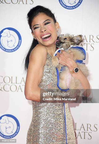 Vanessa Mae attends the annual Collars & Coats Gala Ball in aid of The Battersea Dogs & Cats home at Battersea Evolution on October 30, 2014 in...