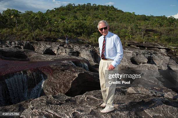 Prince Charles, Prince of Wales visits the Chiribiquete National Park in Columbia on October 30, 2014. The Royal Couple are on a four day visit to...