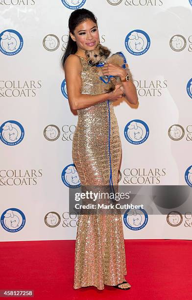 Vanessa Mae attends the annual Collars & Coats Gala Ball in aid of The Battersea Dogs & Cats home at Battersea Evolution on October 30, 2014 in...