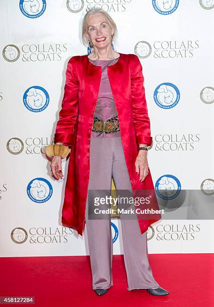 Lady Patsy Puttnam attends the annual Collars & Coats Gala Ball in aid of The Battersea Dogs & Cats home at Battersea Evolution on October 30, 2014...