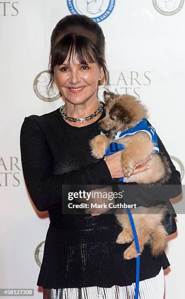 Arlene Phillips attends the annual Collars & Coats Gala Ball in aid of The Battersea Dogs & Cats home at Battersea Evolution on October 30, 2014 in...