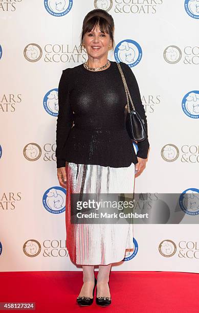 Arlene Phillips attends the annual Collars & Coats Gala Ball in aid of The Battersea Dogs & Cats home at Battersea Evolution on October 30, 2014 in...