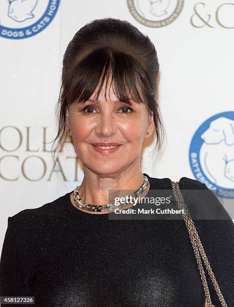 Arlene Phillips attends the annual Collars & Coats Gala Ball in aid of The Battersea Dogs & Cats home at Battersea Evolution on October 30, 2014 in...