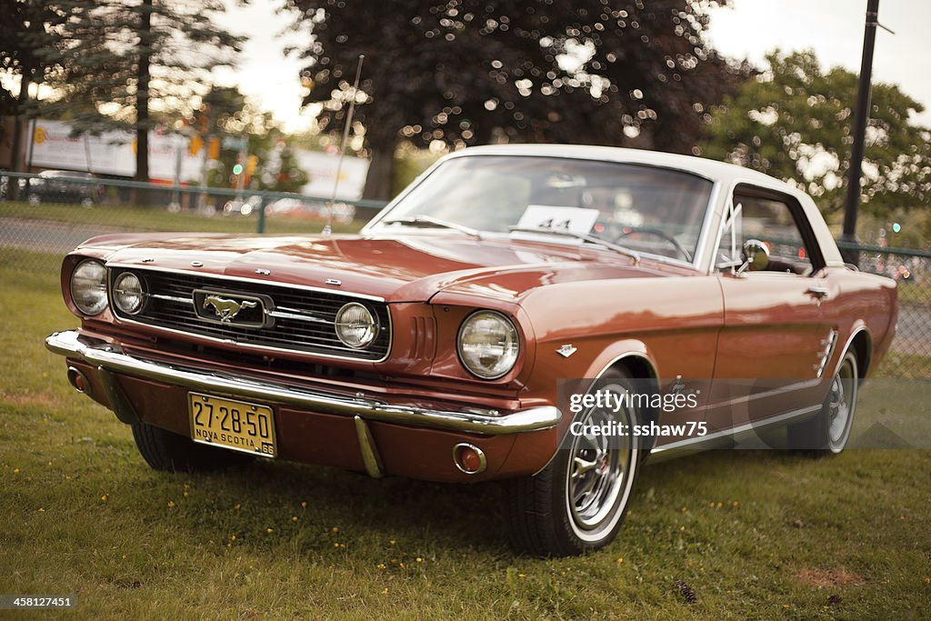 Copper 1960`s First Generation Mustang