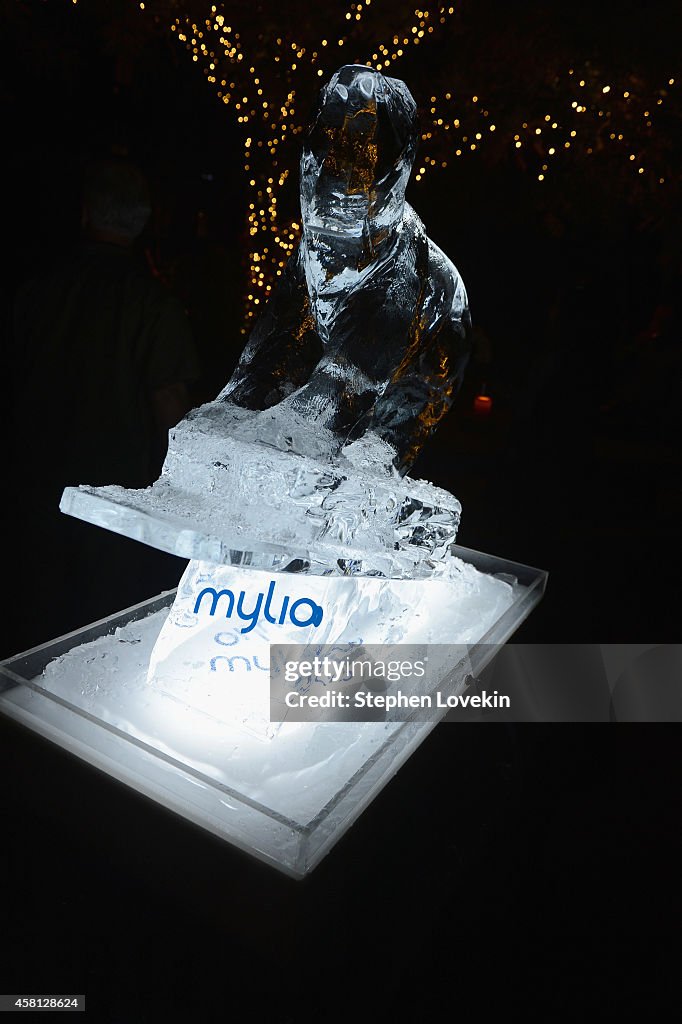 Popular Photography Celebrates The Launch Of Mylio